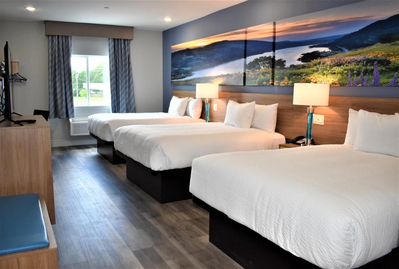Days Inn & Suites By Wyndham Downtown/University Of Хюстън Екстериор снимка